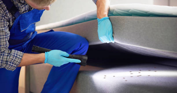 Best Affordable Pest Control Services  in El Portal, FL