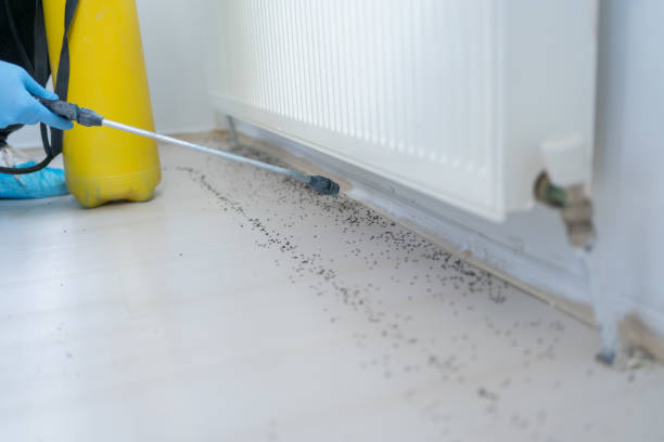 Best Pest Removal Services  in El Portal, FL