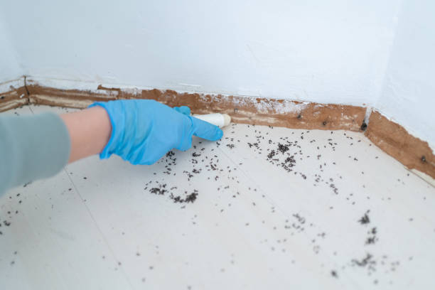 Best Best Pest Control Companies  in El Portal, FL